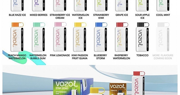 elfbar elfa kaufen Vozol Neon 12000 Pro Aromaları ve Fiyatları